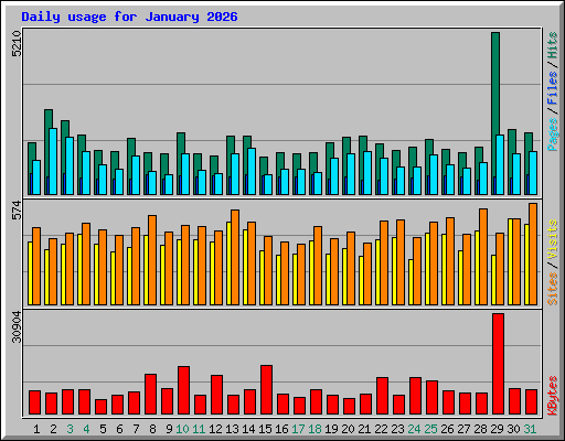 Daily usage for January 2026